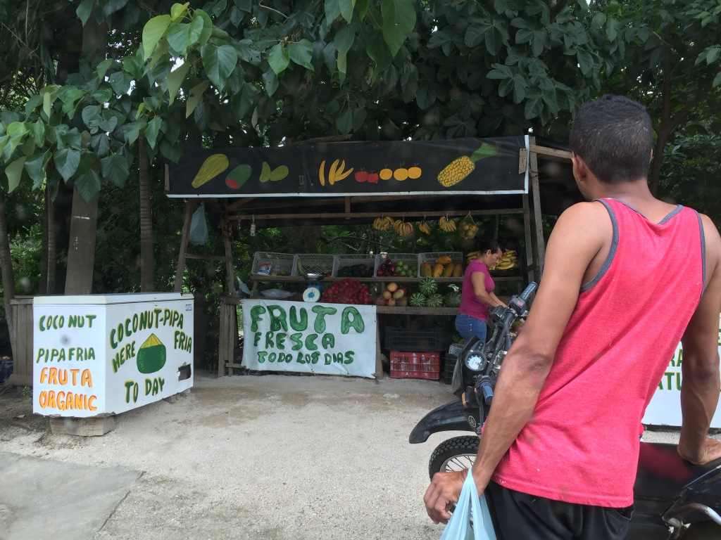 A fruit stand on the side of the road in Costa Rica.