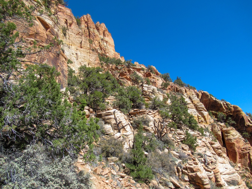 Trail to Mt Kinesava in Zion National Park.