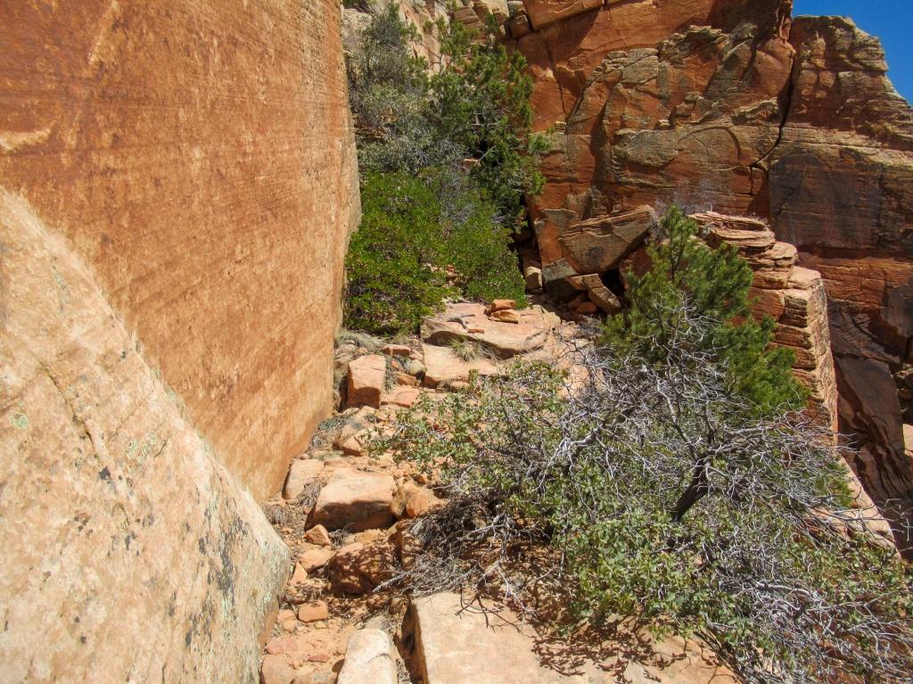 Trail to Mt Kinesava in Zion National Park.