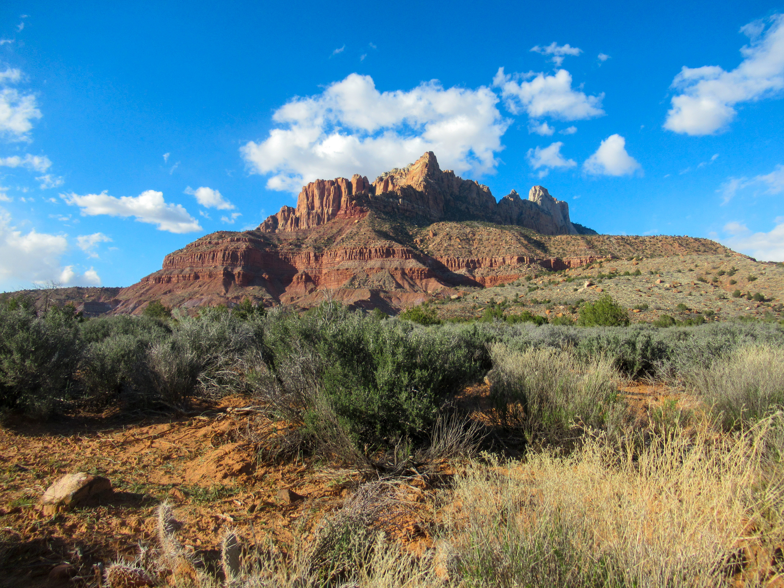 Zion National Park: Tackling Mt. Kinesava
