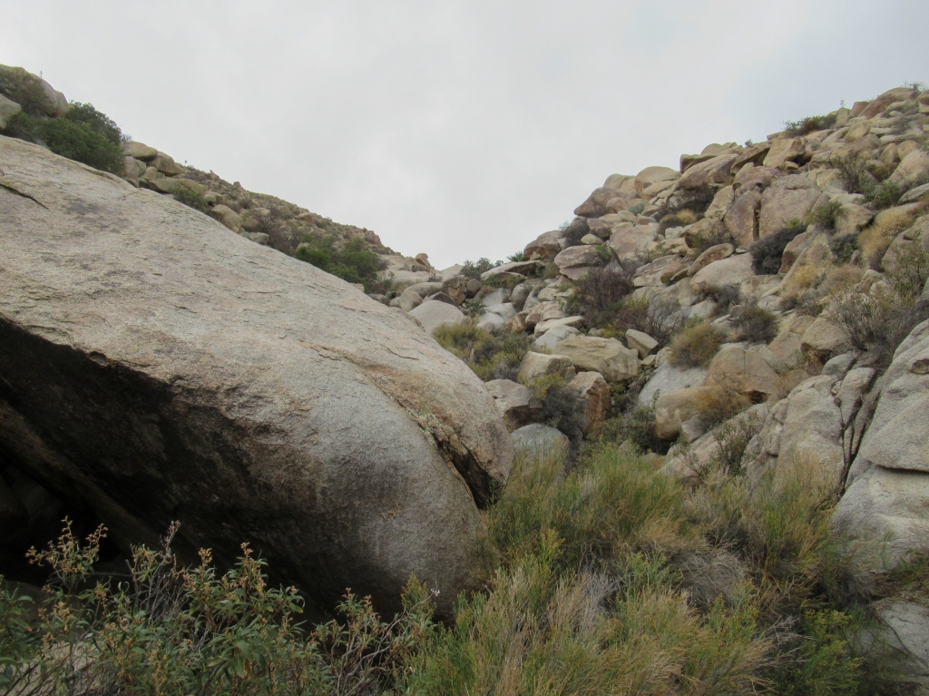 Granite boulders in the Anza Borrego desert.
