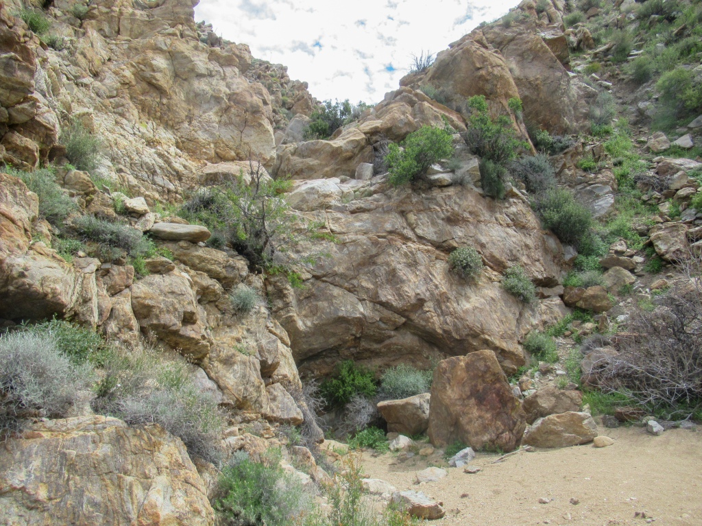 Goat Canyon Anza Borrego.