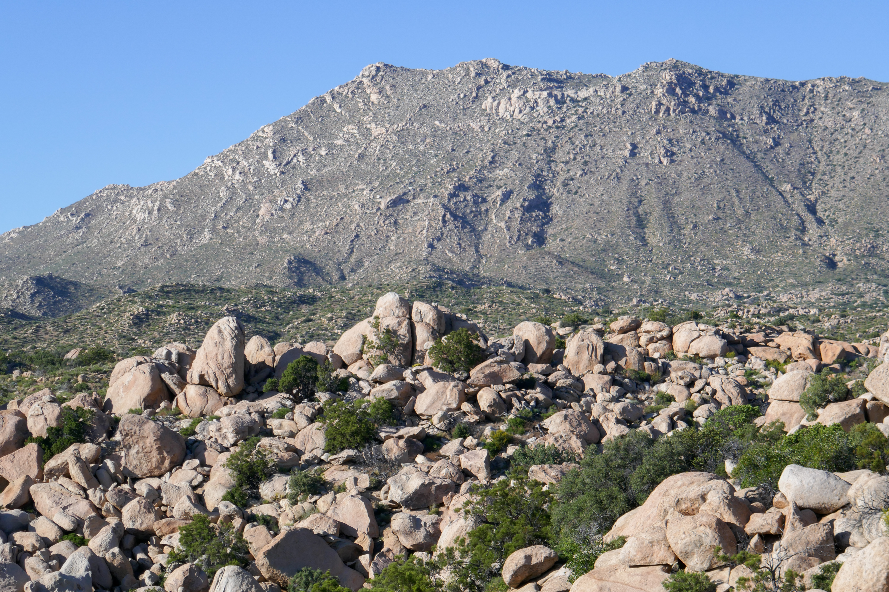 Covid chronicles: Hike to the desert’s edge atop Jacumba Peak