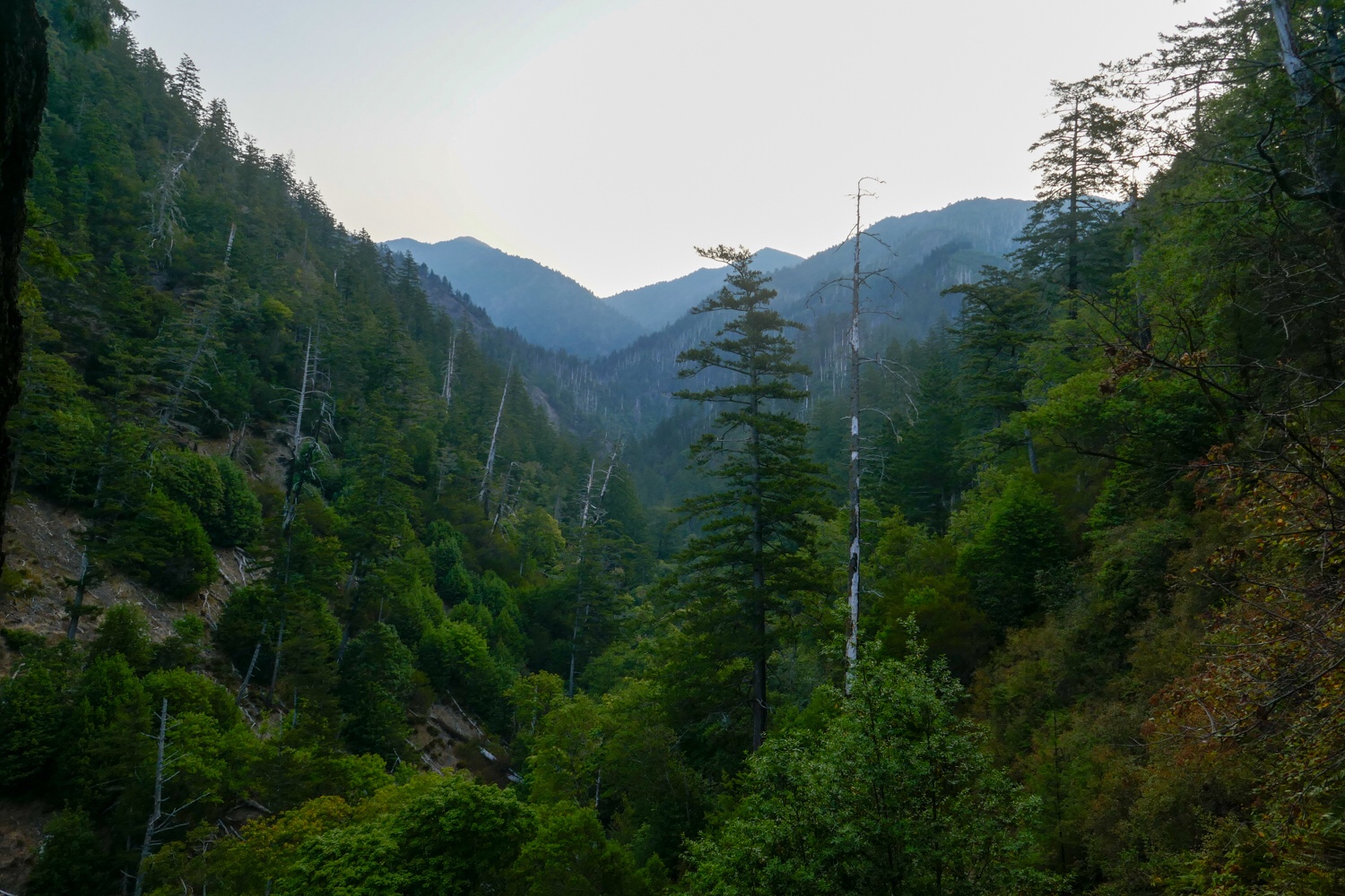Lost Coast detour: Summit King Peak