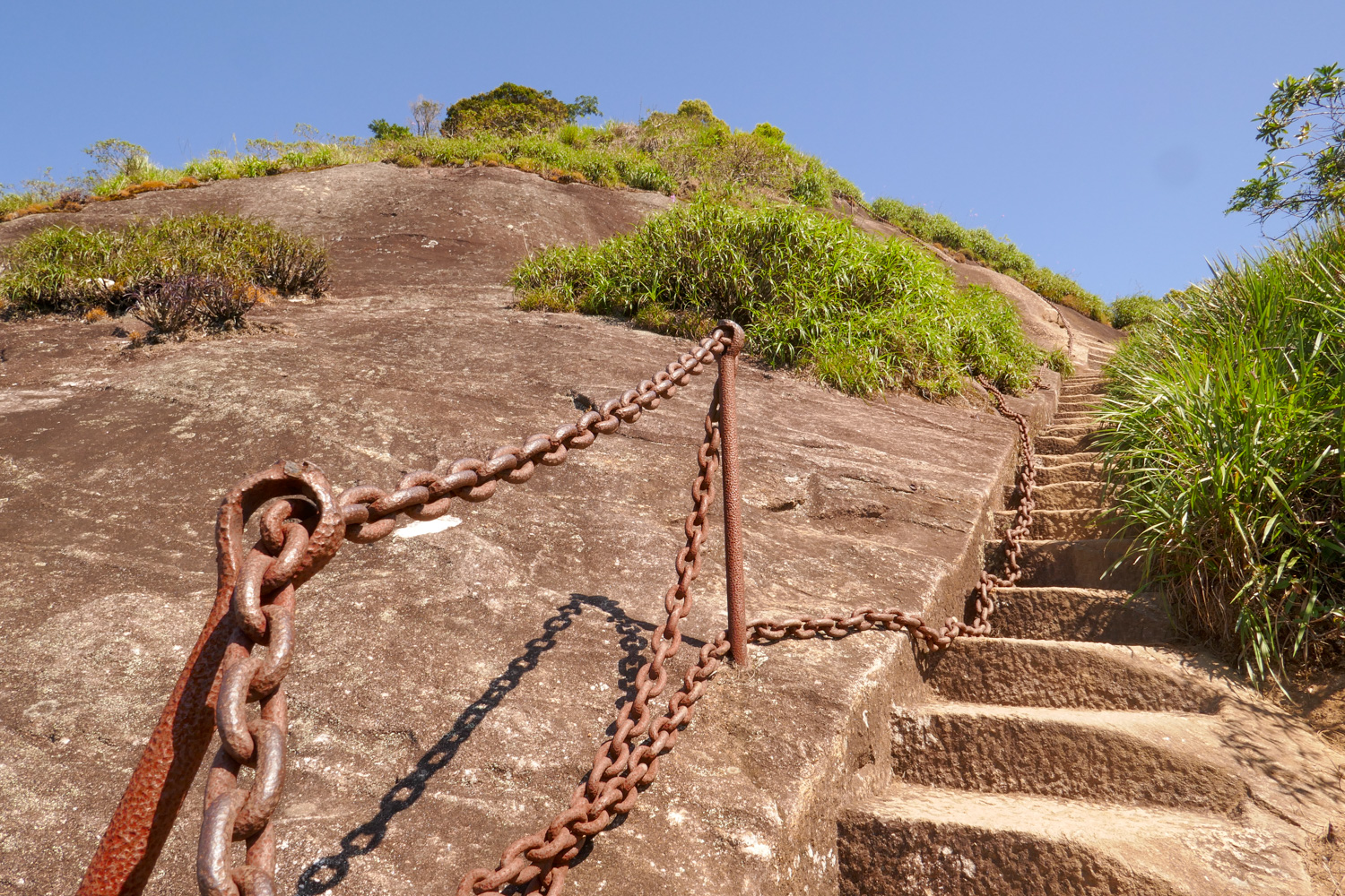 Vlog: Checking Tijuca Peak off the bucket list