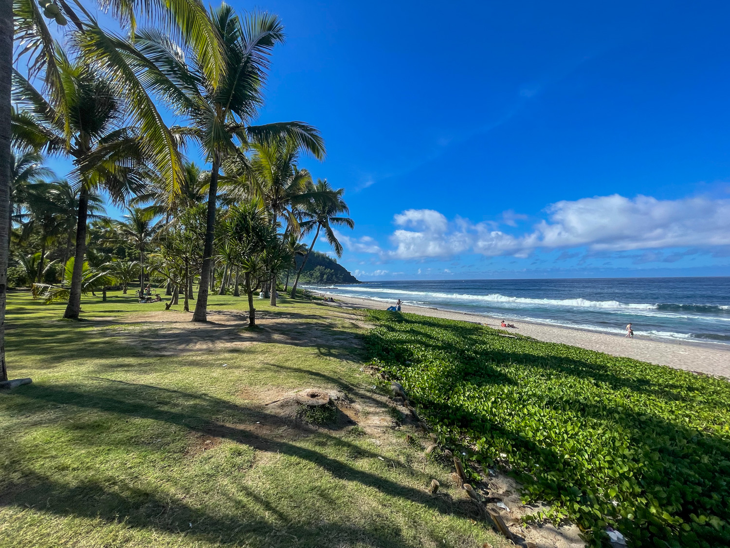 Reunion Island wrap: A new language, homesickness, localism, and more